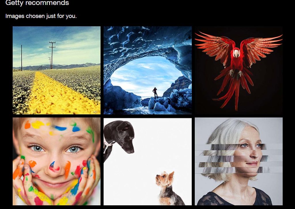 Suggested images from Getty. The dogs are Amanda Jones; love the parrot.
