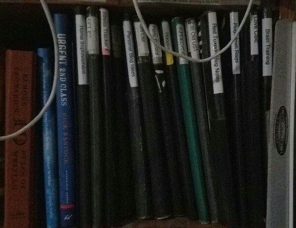One set of notebooks, some of which have article notes.